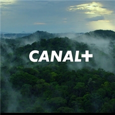 French + Canal platform announced that between November 8-12, some of the channels will be available for free for a limited time without encryption